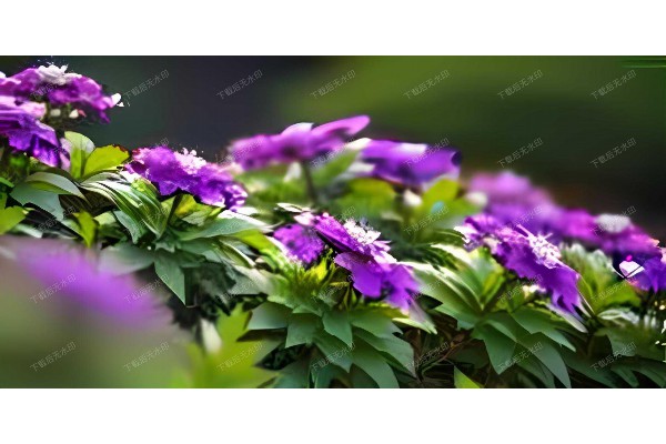 杭州新开业！顶级按摩SPA，舒缓身心新体验
